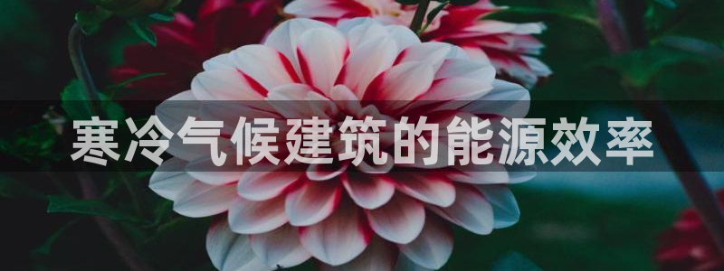 谁知道e尊国际的网址：寒冷气候建筑的能源效率