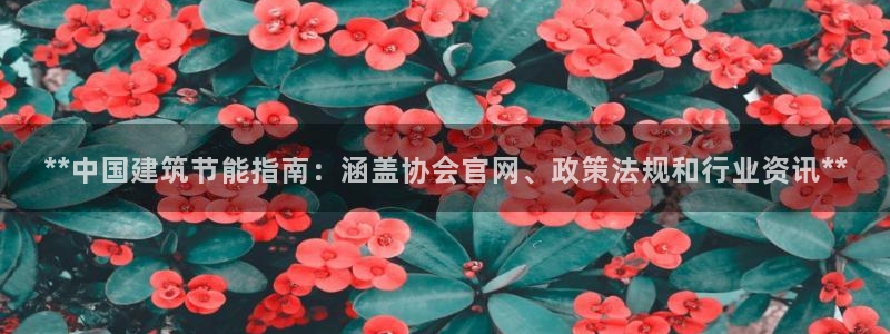 e尊国际平台：**中国建筑节能指南：涵盖协会官网、政策法规和行业资讯**