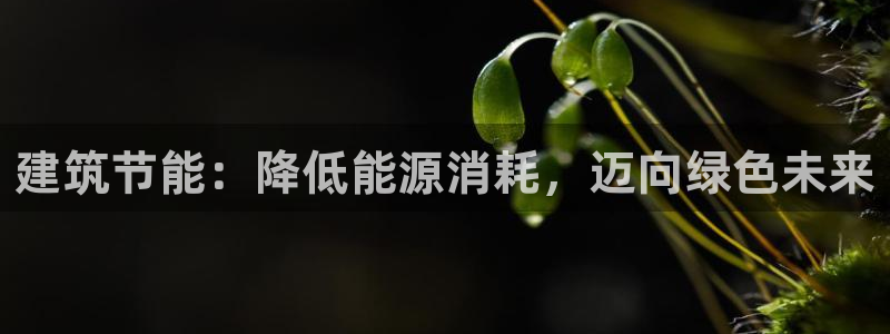 尊亿游戏国际官网：建筑节能：降低能源消耗，迈向绿色未来