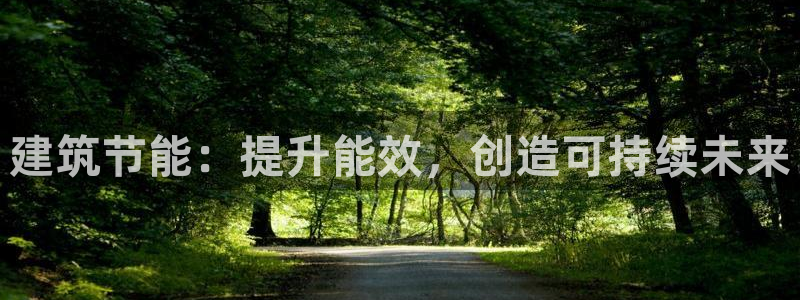 E尊国际网站：建筑节能：提升能效，创造可持续未来