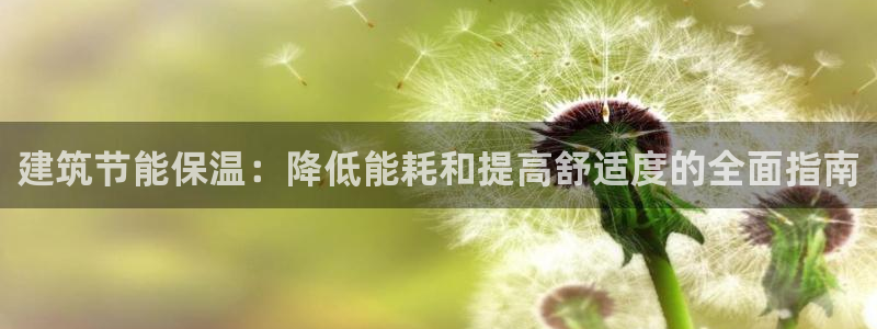 E尊国际网站：建筑节能保温：降低能耗和提高舒适度的全面指南