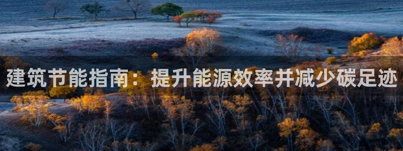 e尊国际是干什么的：建筑节能指南：提升能源效率并减少碳足迹