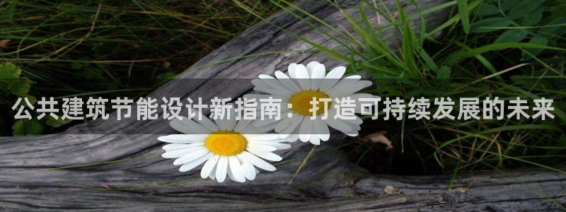 e尊平台：公共建筑节能设计新指南：打造可持续发展的未来