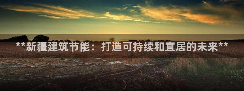 e尊国际客服：**新疆建筑节能：打造可持续和宜居的未来**