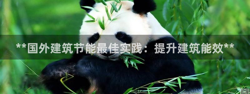 E尊国际：**国外建筑节能最佳实践：提升建筑能效**