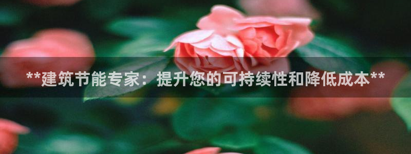 e尊国际客户端：**建筑节能专家：提升您的可持续性和降低成本**