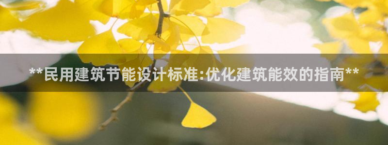e尊国际平台：**民用建筑节能设计标准:优化建筑能效的指南**