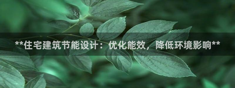 谁知道e尊国际的网址：**住宅建筑节能设计：优化能效，降低环境影响**
