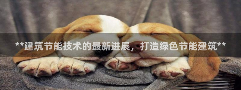 e尊国际-e尊国际官网：**建筑节能技术的最新进展，打造绿色节能建筑**