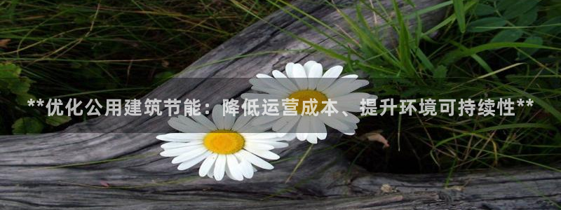 e尊国际-e尊国际官网：**优化公用建筑节能：降低运营成本、提升环境可持续性**