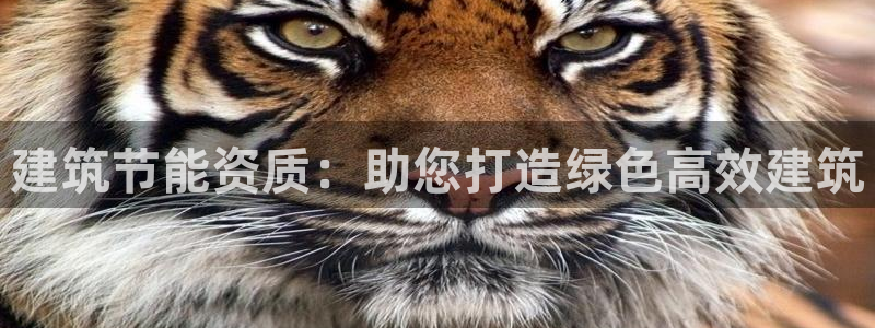 e尊国际官网·网址：建筑节能资质：助您打造绿色高效建筑