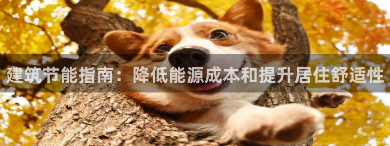 E尊国际：建筑节能指南：降低能源成本和提升居住舒适性