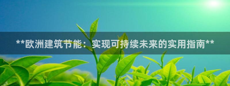 e尊国际娱乐官网地址：**欧洲建筑节能：实现可持续未来的实用指南**