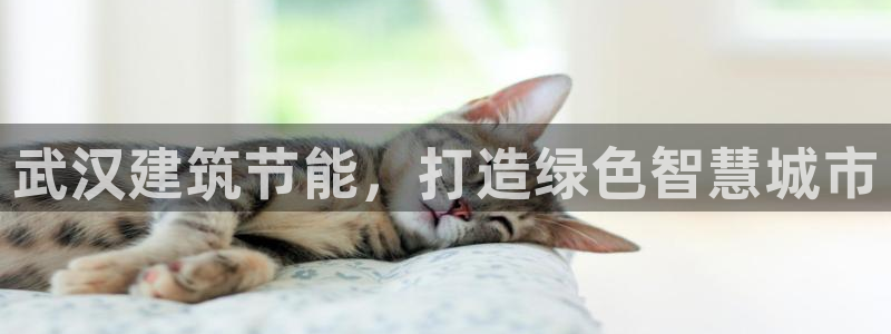 e尊国际地址：武汉建筑节能，打造绿色智慧城市