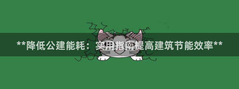 e尊国际网址：**降低公建能耗：实用指南提高建筑节能效率**