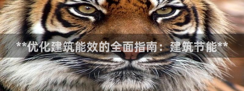 e尊国际客户端：**优化建筑能效的全面指南：建筑节能**