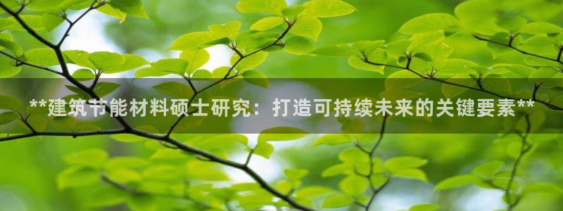 e尊体育：**建筑节能材料硕士研究：打造可持续未来的关键要素**