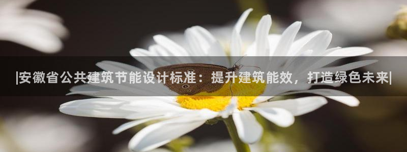 e尊国际客服：|安徽省公共建筑节能设计标准：提升建筑能效，打造绿色未来|
