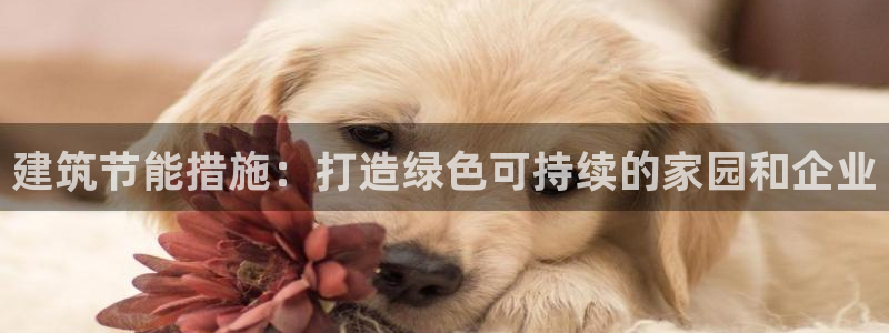 e尊国际可靠吗：建筑节能措施：打造绿色可持续的家园和企业