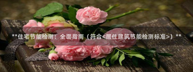 谁知道e尊国际的网址