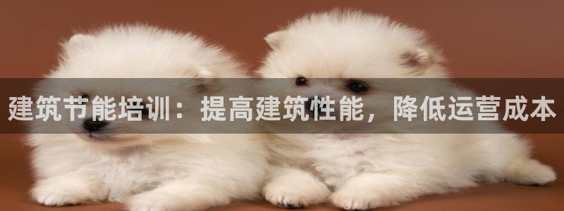 e尊国际娱乐官网地址：建筑节能培训：提高建筑性能，降低运营成本