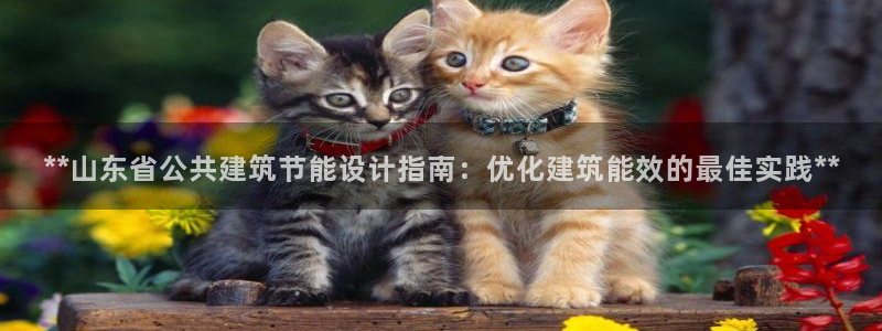 e尊国际app：**山东省公共建筑节能设计指南：优化建筑能效的最佳实践**