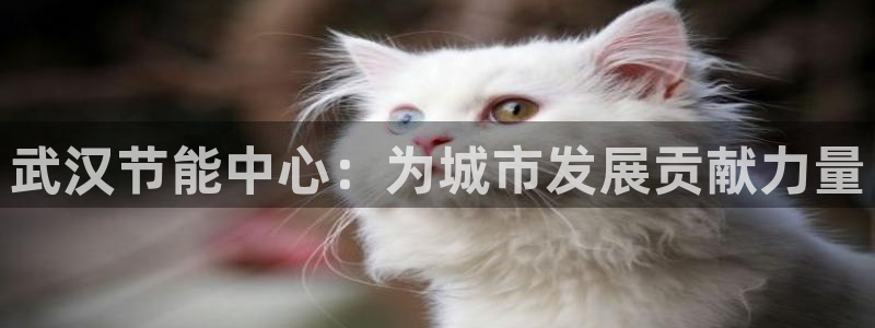 e尊国际客户端：武汉节能中心：为城市发展贡献力量