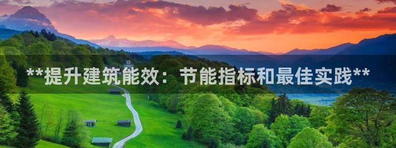 e尊国际平台：**提升建筑能效：节能指标和最佳实践**
