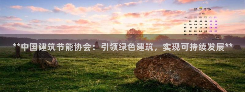 谁知道e尊国际的网址：**中国建筑节能协会：引领绿色建筑，实现可持续发展**