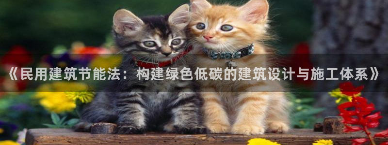 e尊国际地址：《民用建筑节能法：构建绿色低碳的建筑设计与施工体系》