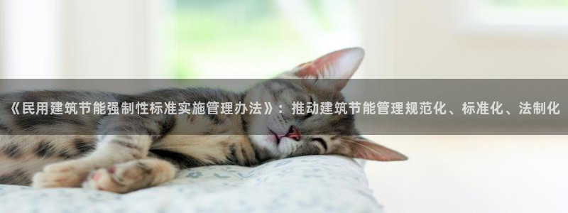 尊亿游戏国际官网