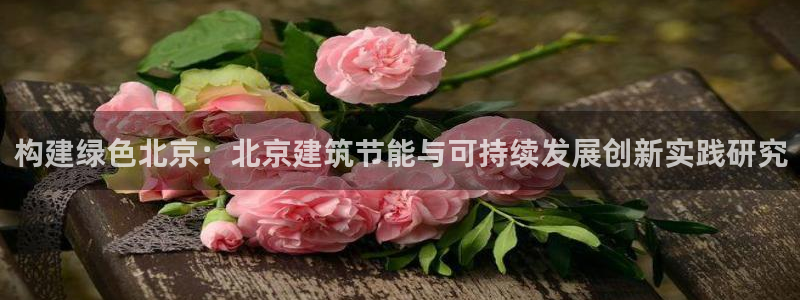 e尊国际地址：构建绿色北京：北京建筑节能与可持续发展创新实践研究