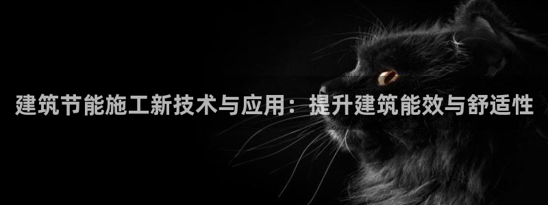 E尊国际网站