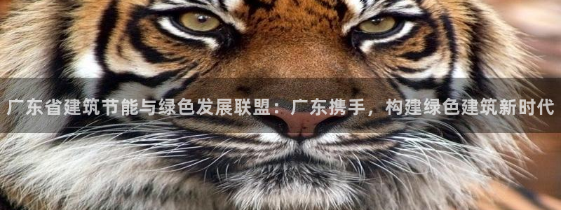 e尊国际可靠吗