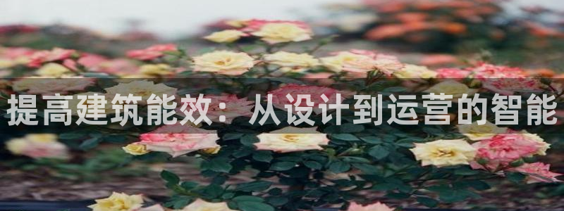 e尊国际客户端下载