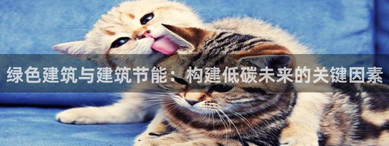 e尊国际客户端：绿色建筑与建筑节能：构建低碳未来的关键因素