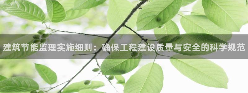 e尊国际-e尊国际官网：建筑节能监理实施细则：确保工程建设质量与安全的科学规范