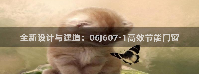 e尊国际官网·网址：全新设计与建造：06J607-1高效节能门窗