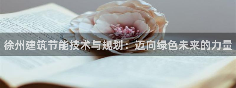 E尊国际网站：徐州建筑节能技术与规划：迈向绿色未来的力量