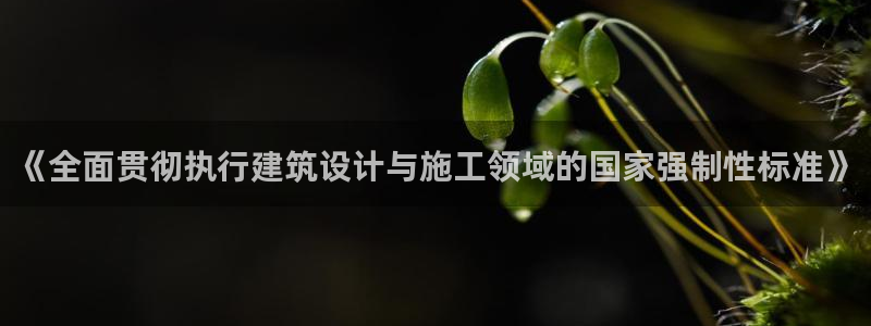 e尊国际娱乐官网地址