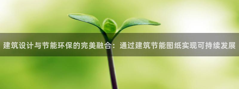 e尊国际-可可计划：建筑设计与节能环保的完美融合：通过建筑节能图纸实现可持续发展