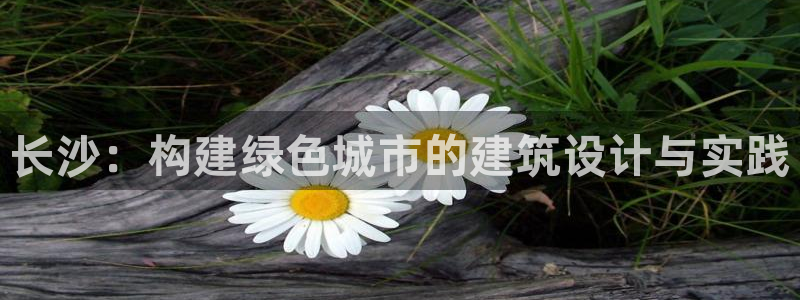 谁知道e尊国际的网址