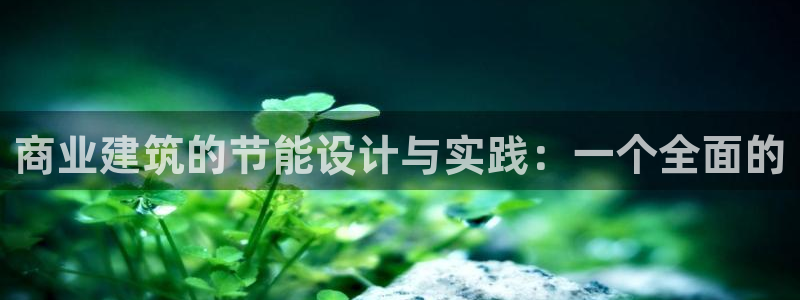 谁知道e尊国际的网址：商业建筑的节能设计与实践：一个全面的