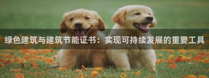 尊亿娱乐国际官网