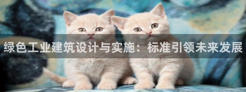 e尊国际平台