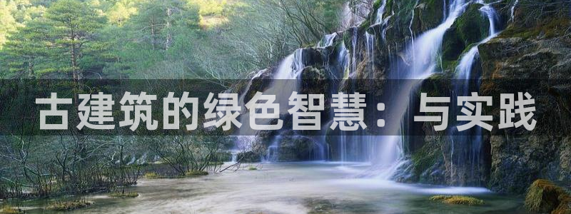 e尊国际是干什么的