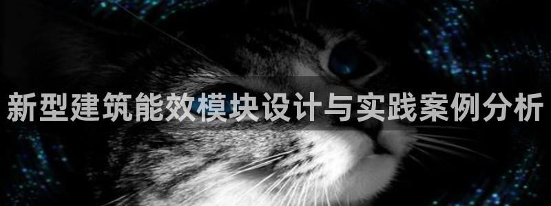 e尊国际平台