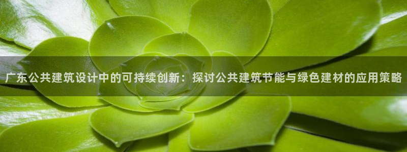 谁知道e尊国际的网址：广东公共建筑设计中的可持续创新：探讨公共建筑节能与绿色建材的应用策略