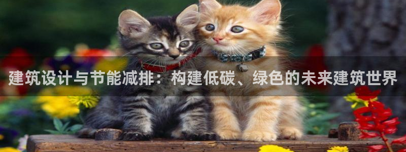 e尊国际-可可计划