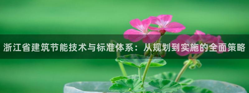 e尊国际官方网站：浙江省建筑节能技术与标准体系：从规划到实施的全面策略